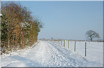 SO9095 : Farm track towards Goldthorn Park, Wolverhampton by Roger  Kidd