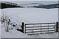 Gate, Bellaty, Glenisla