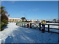 A snowy  East Lodge Playing Field (1)