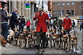 Tiverton : Hounds on Fore Street