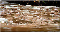 J3470 : Ice, River Lagan, Stranmillis, Belfast (3) by Albert Bridge