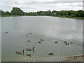 The Stowe Pool