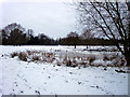 Monken Hadley Common, Chipping Barnet