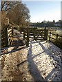 Cycle path from Dartington