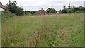 Meadow just off Wissett Road