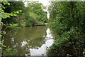 Pond, Newhouse Farm