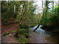 Stream at Parkmill