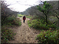 Path to Three Cliffs Bay