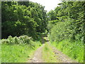 A track at Otterburn