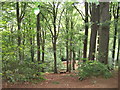 Blaise Castle Estate - looking down through the 