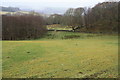 Grazing land at Woodhead