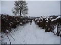 Footpath near Llanerfyl