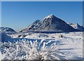 NN2655 : Buachaille freezes by Alan Reid