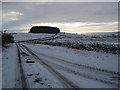 Road towards Allendale