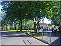 Roundabout at end of Colindale Avenue