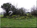 Chambered Grave, Legland