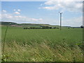 South Hazelrigg Farm fields