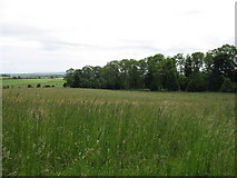 NU0638 : Fields above Blawearie by David Purchase