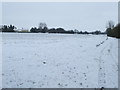 Footpath And Field Boundary