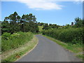 A minor road near Fenwick Granary