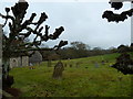 Lower Bullington- winter churchyard (1)