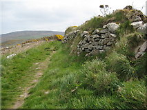 SW3935 : Coast path near Morvah by Philip Halling