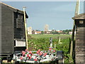 Southwold church towers from the harbour