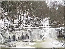 NY8452 : Frozen Holms Linn (2) by Mike Quinn