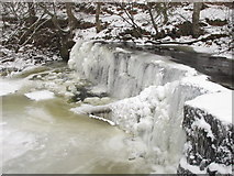 NY8452 : Frozen Holms Linn (4) by Mike Quinn