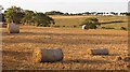 Round bales, Coldingham Moor