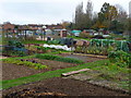 Andover - Allotments