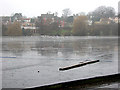 Houses above Diss Mere