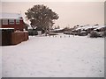SJ4916 : A snowy Little Harlescott Lane by Mr M Evison
