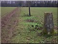 Bridleway and triangulation pillar in Hampshire field