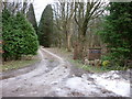 The entrance to Littlewood at Walkington Heads (road)