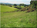 Farmland south of Bitterley