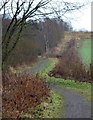 SK4667 : Stockley Trail footpath by Andrew Hill