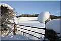 A field gate near Buxton