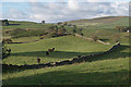 Fields near Brockhill Stone