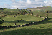  : Fields near Brockhill Stone by Jerry Evans