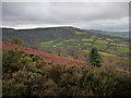 View from Blorenge