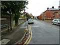 Autumn on Castle Crescent