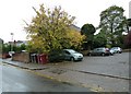 Wheelie bins in Coley Hill