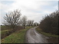 Mill Lane near Crowle