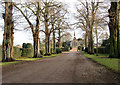 Driveway to Queens Road Cemetery, Attleborough