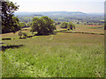 Hay meadows west of Knowbury