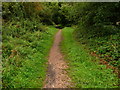 Houghton - The Test Way Footpath