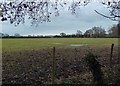 Waterlogged field just off Copse Lane