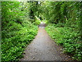 Stockbridge - The Test Way Footpath