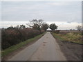 The Lane to North Scarle